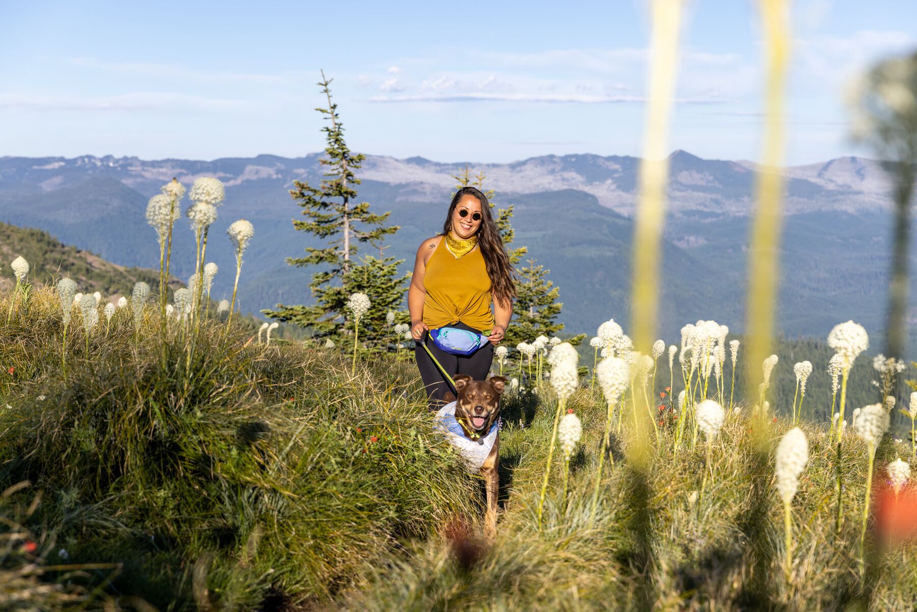 Ruffwear Home Trail™ Hip Pack Heliotrope Purple Ruffwear Home Trail™ Hip Pack Heliotrope Purple