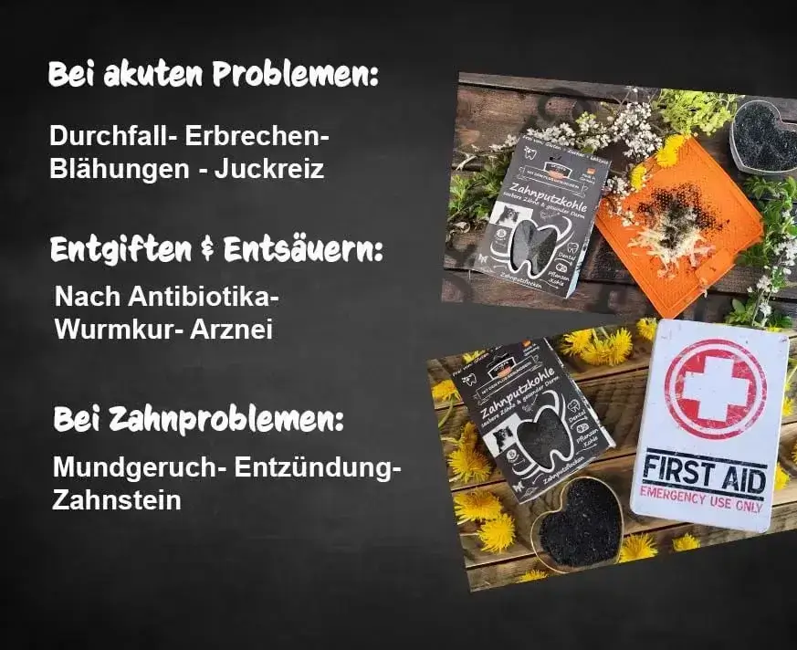 QChefs Zahnputzkohle HUND 80g