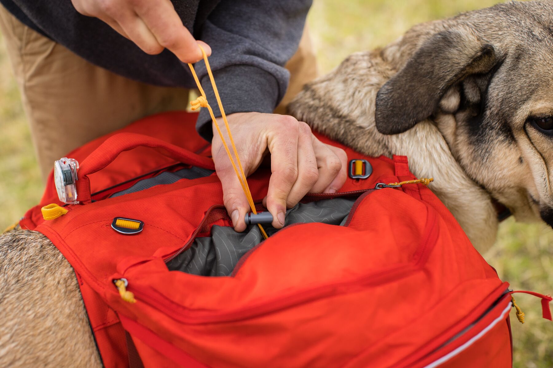 Ruffwear Palisades Pack Red Sumac Ruffwear Palisades Pack Red Sumac