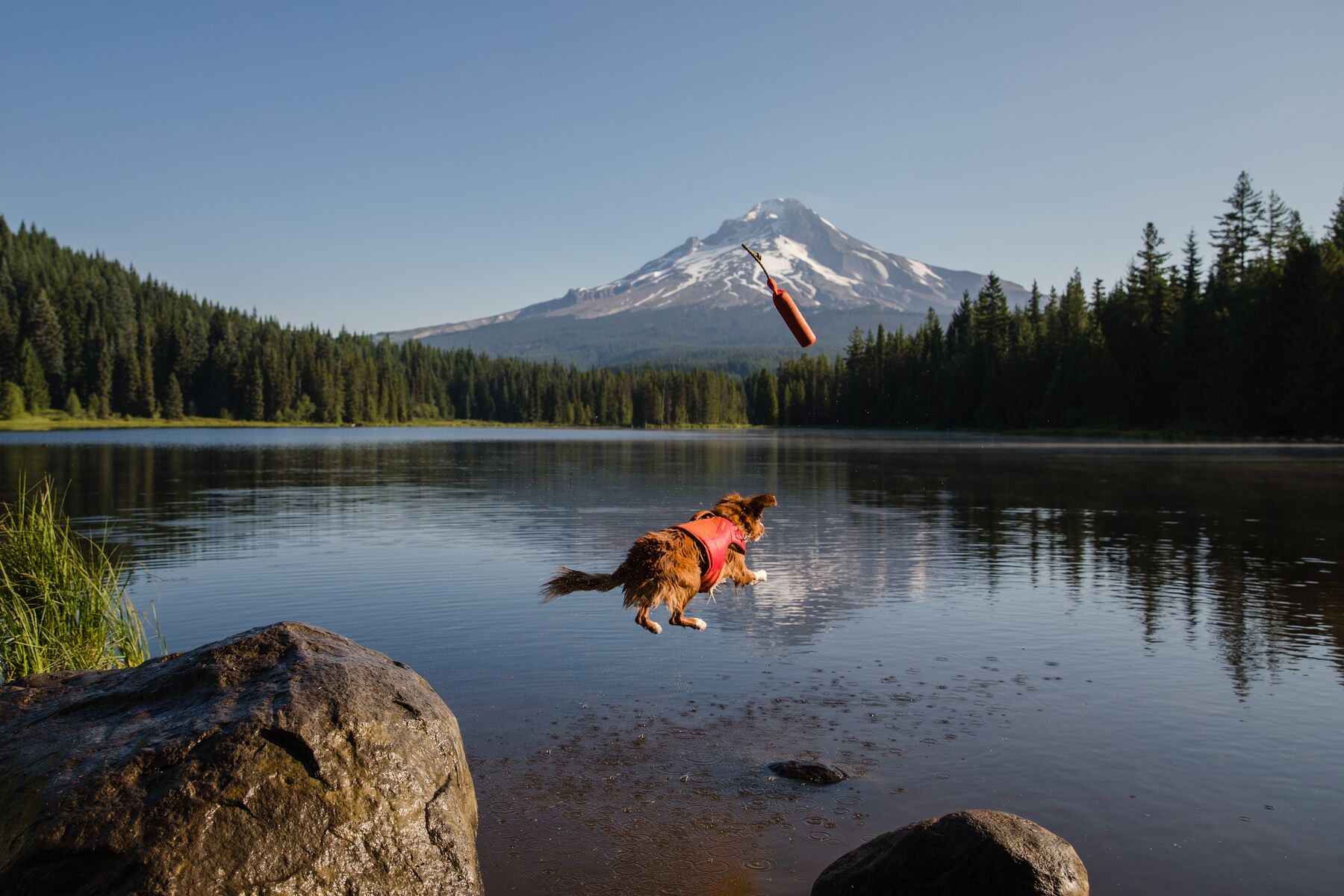 RuffWear Float Coat™ Red Sumac
