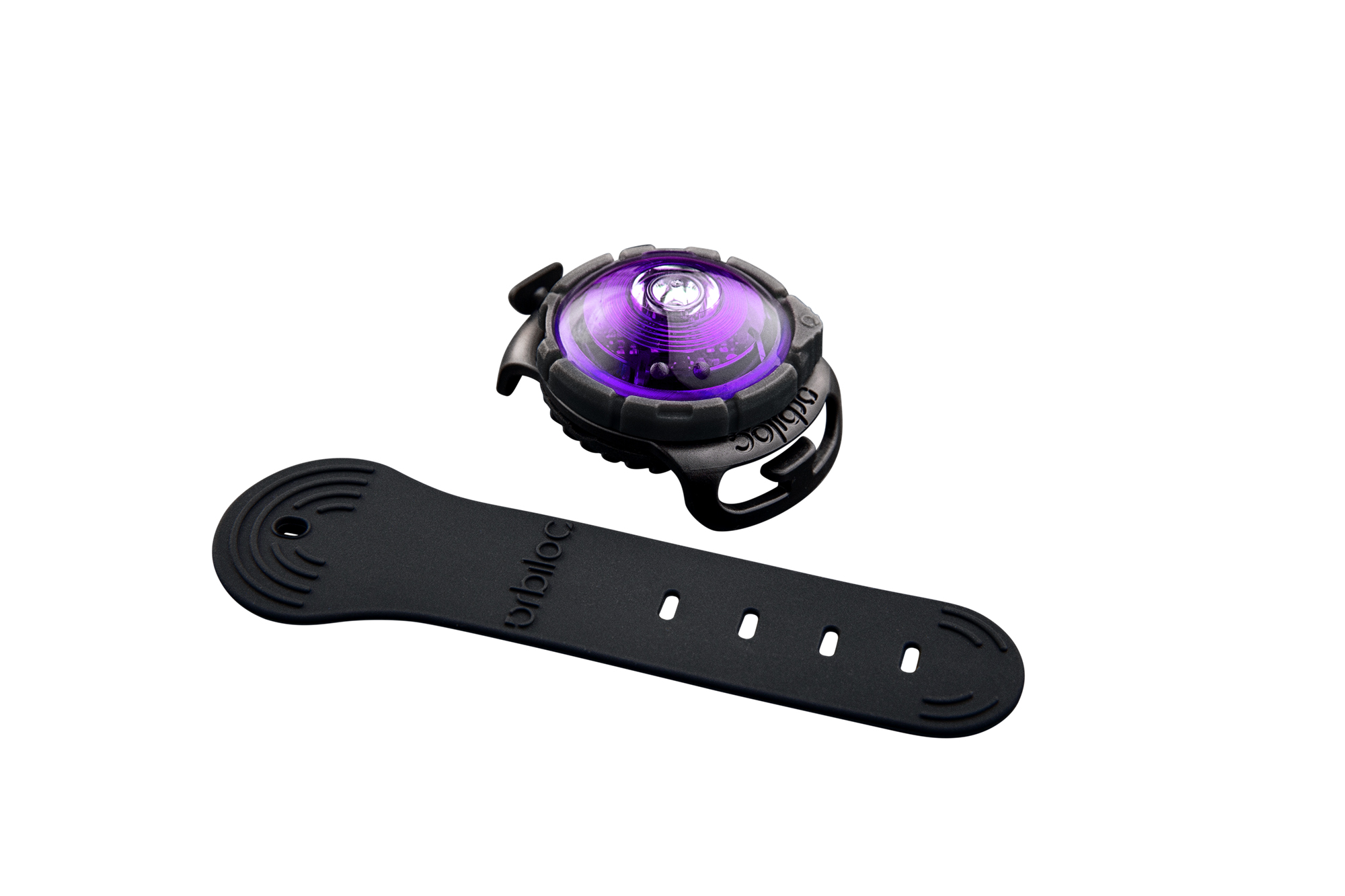 Orbiloc Dog Dual Light purple