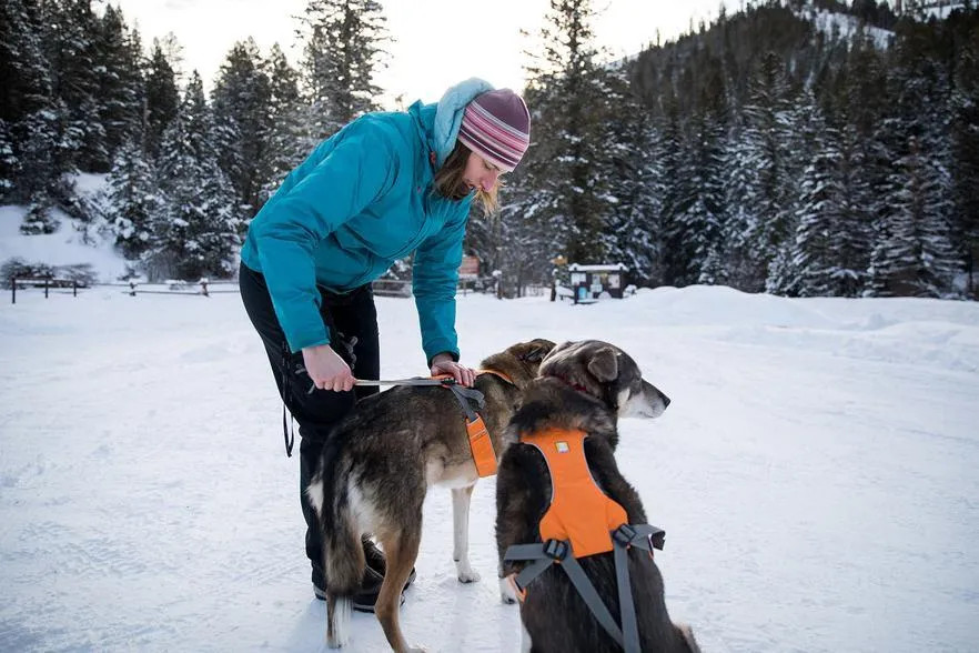 Ruffwear Omnijore Joring System