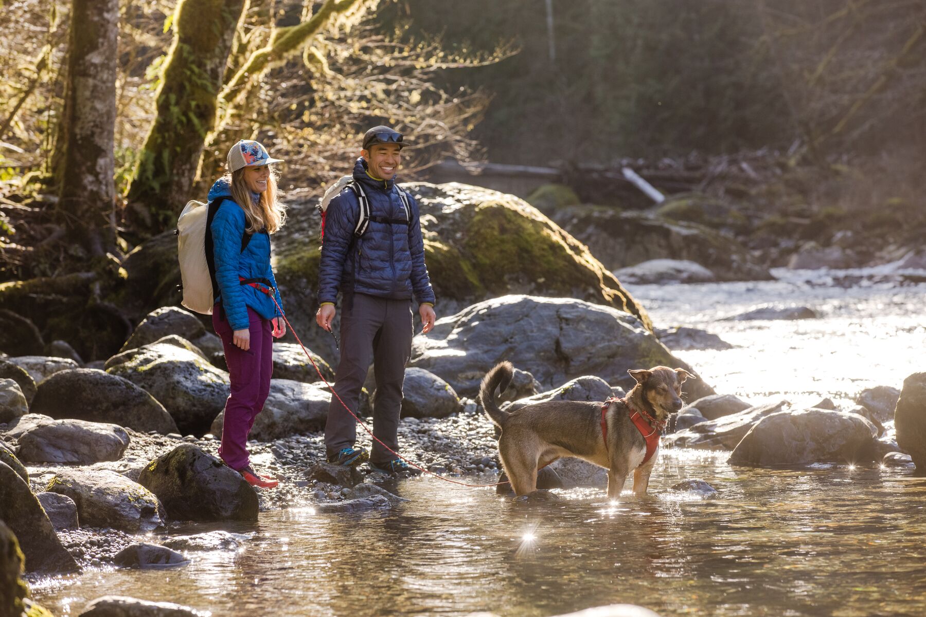 RuffWear Hitch Hiker™ Leash