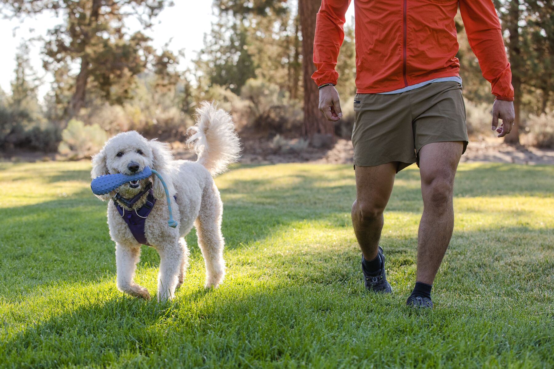 RuffWear Gourdo™ Toy Sage Green