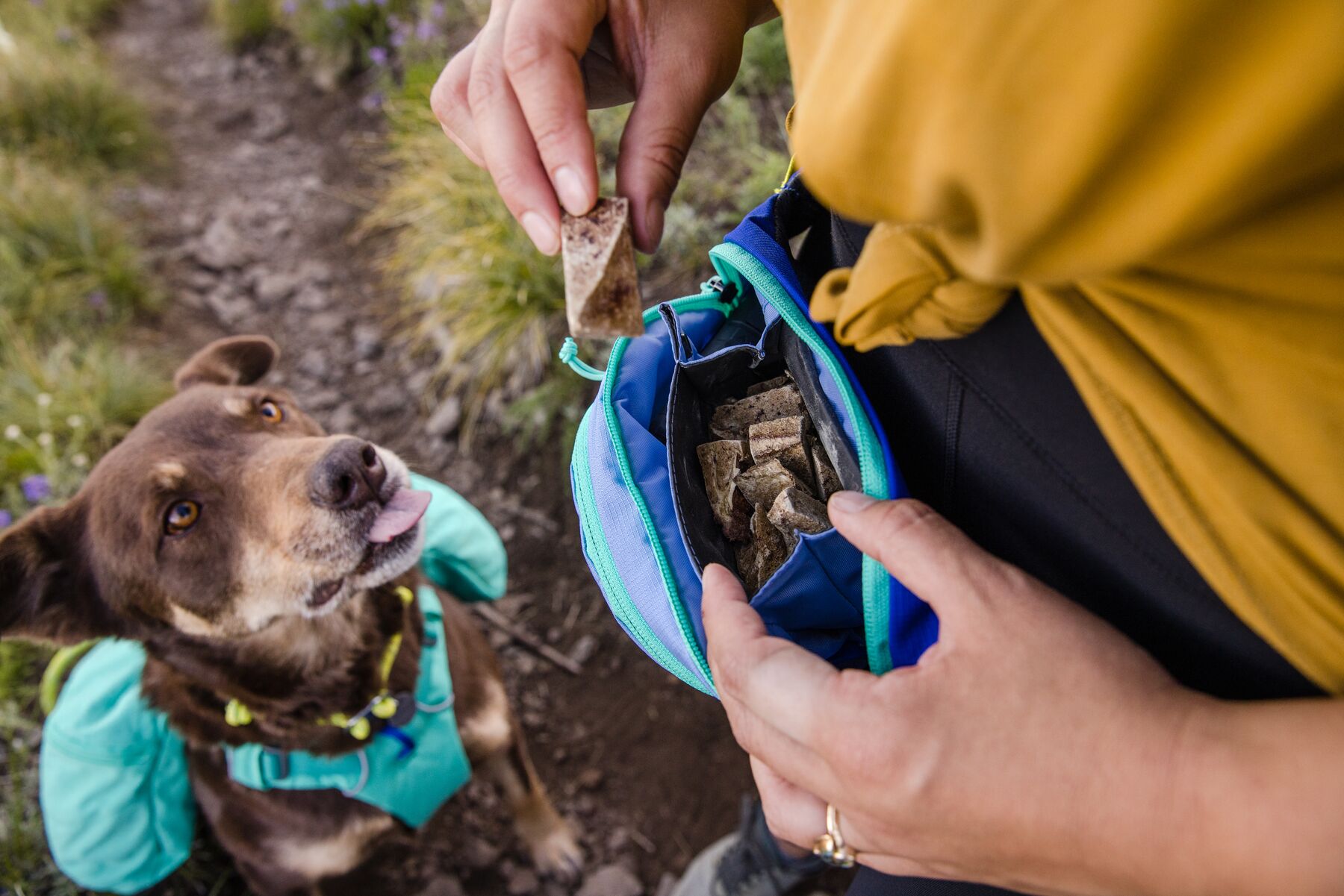 Ruffwear Home Trail™ Hip Pack Heliotrope Purple Ruffwear Home Trail™ Hip Pack Heliotrope Purple