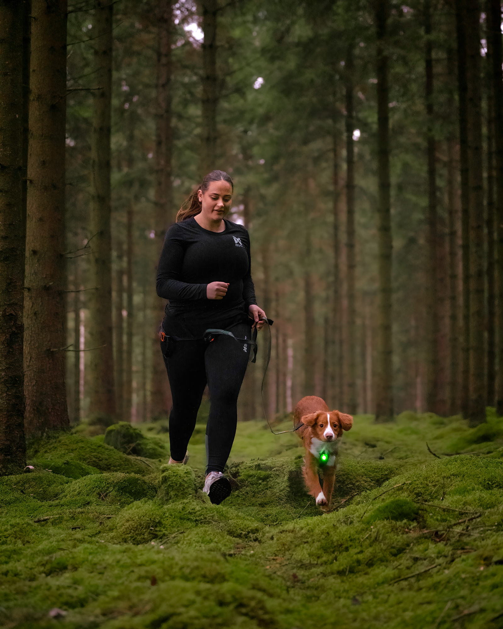 Orbiloc Dog Dual Light green