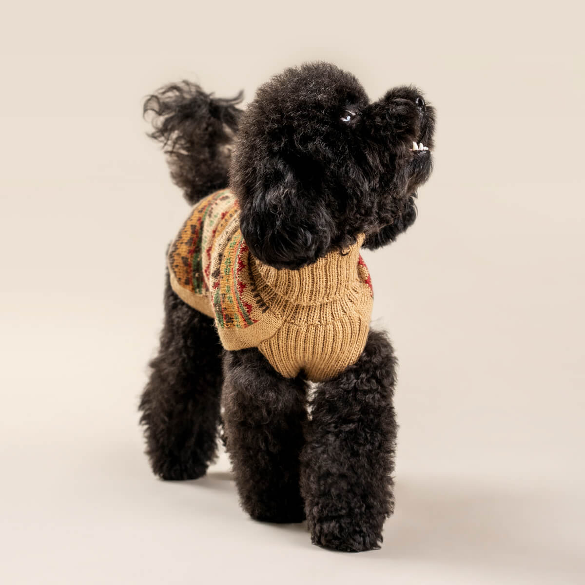 Alqo Wasi Hunde-Pullover Fair Isle Finn