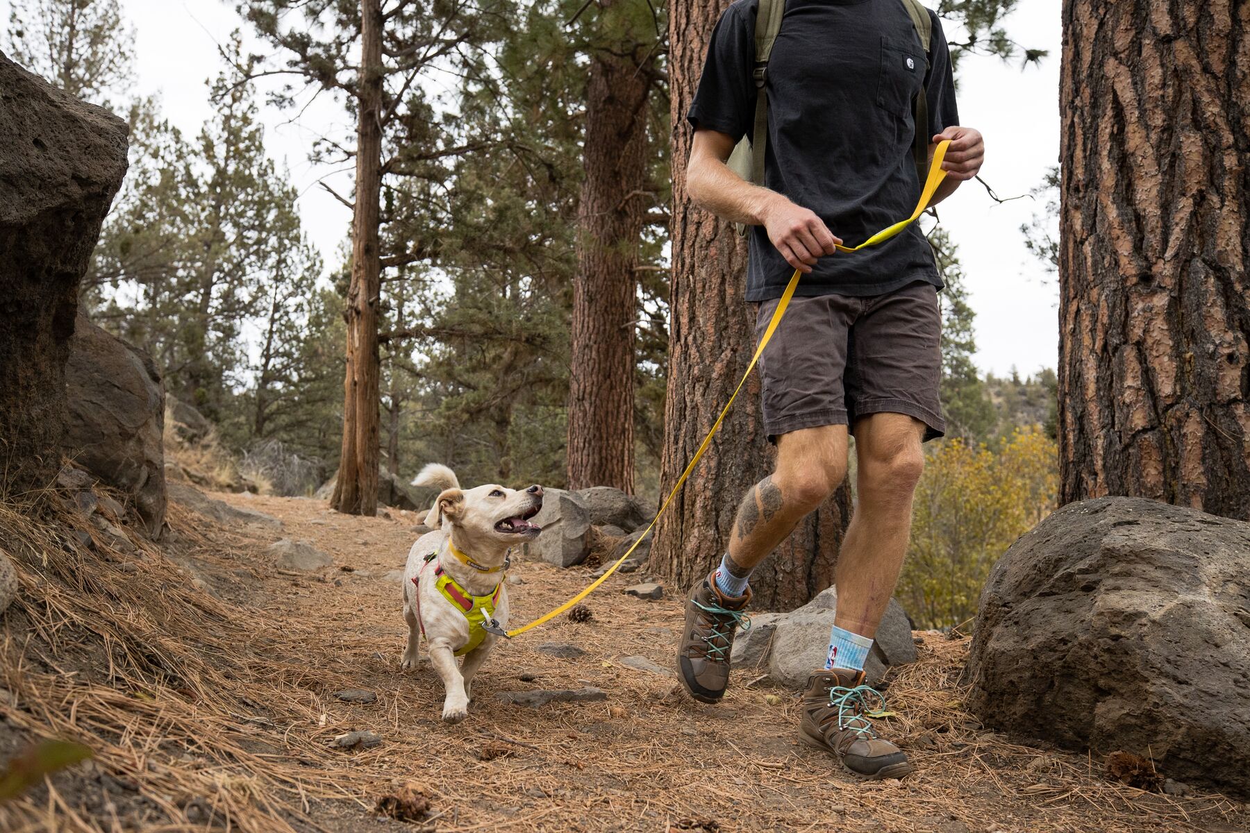 RuffWear Hi & Light™ Harness Lichen Green