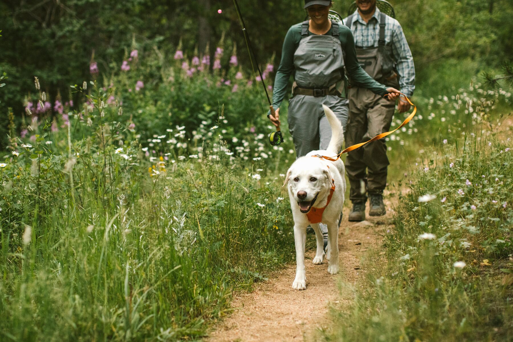 RuffWear Front Range™ Leash (one size)