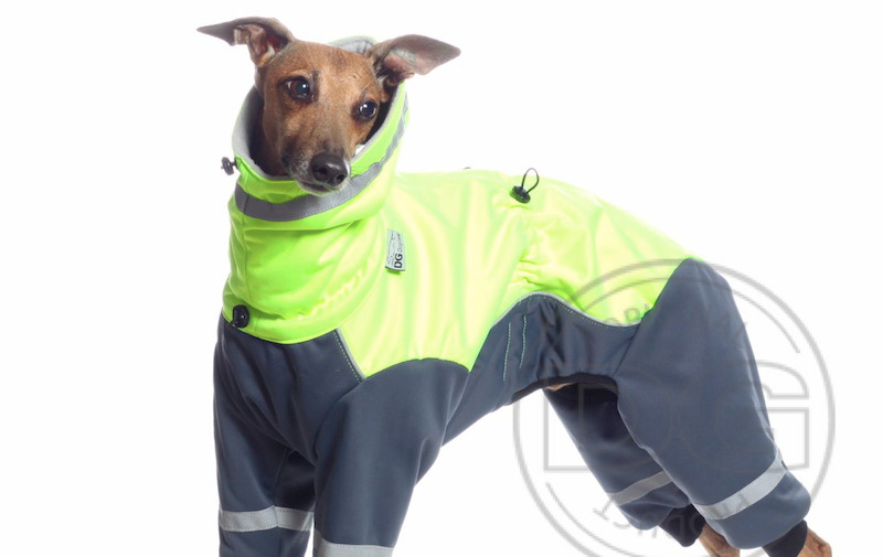 DG DogGear Ninja Supreme DG DogGear Ninja Supreme