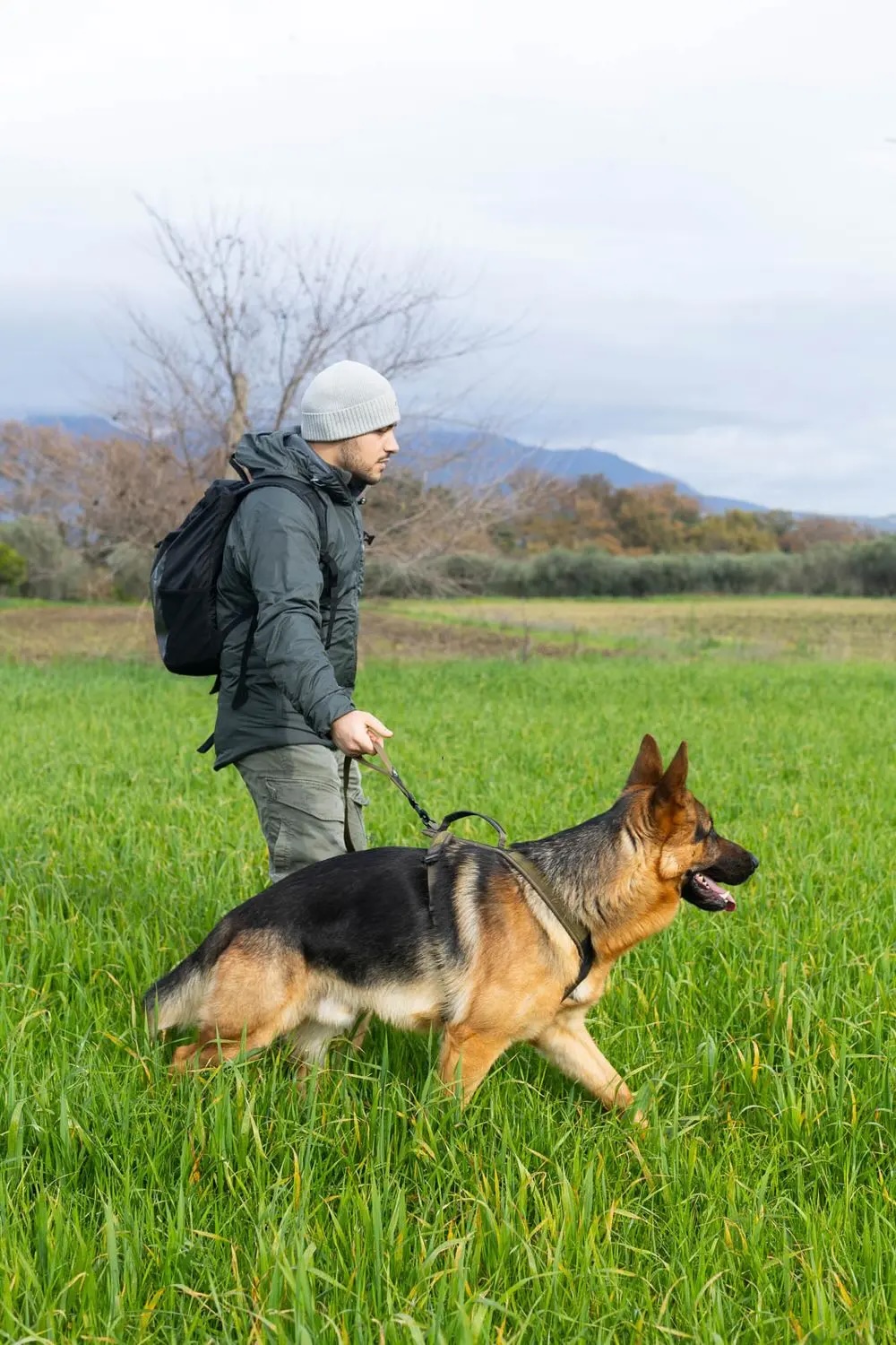Non-stop dogwear Bungee Touring Leash WD 23mm/2,8m