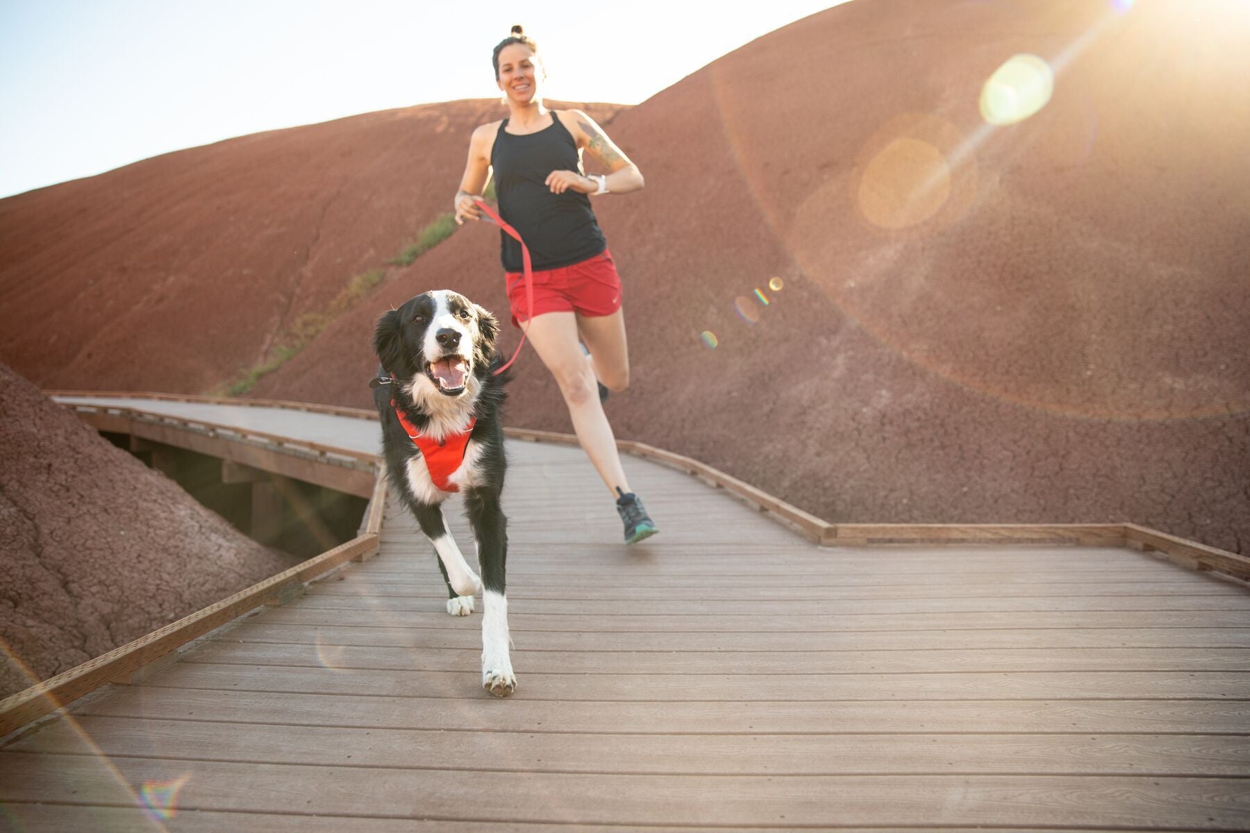 Ruffwear Front Range Harness Red Sumac Ruffwear Front Range Harness Red Sumac