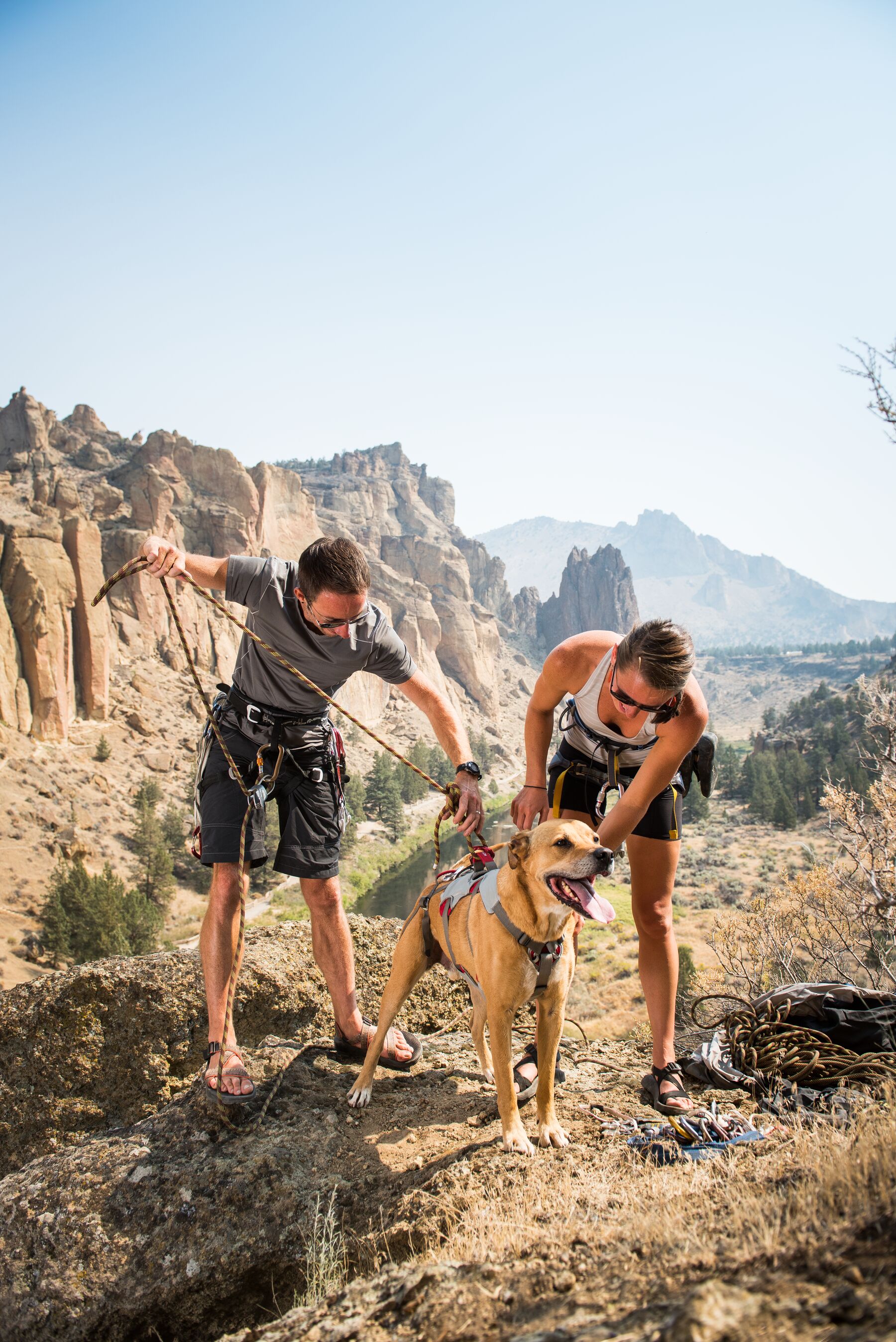 Ruffwear DoubleBack Harness Cloudburst Gray