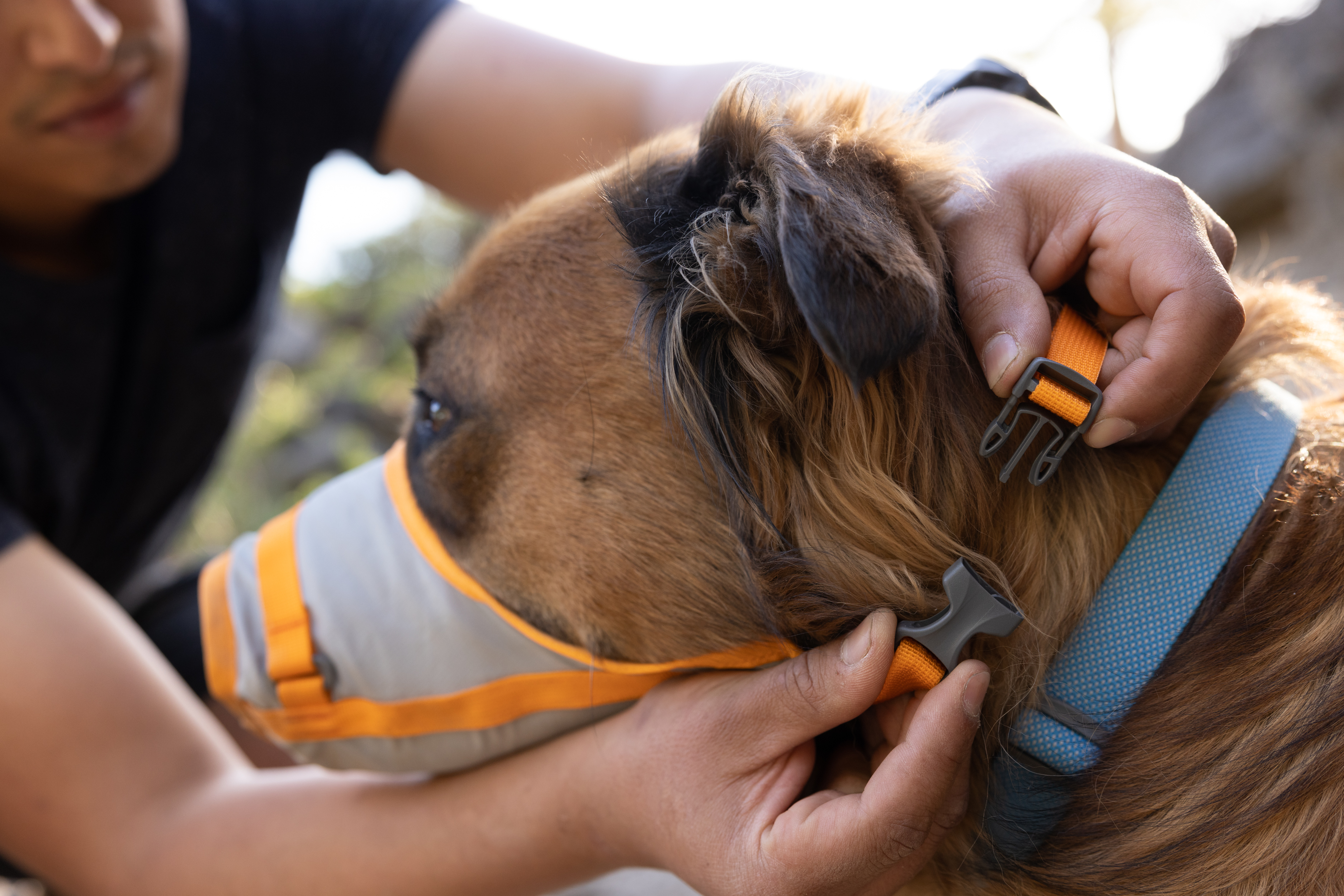 Ruffwear BackTrak™ Dog Evacuation Kit Cloudburst Gray Ruffwear BackTrak™ Dog Evacuation Kit Cloudburst Gray