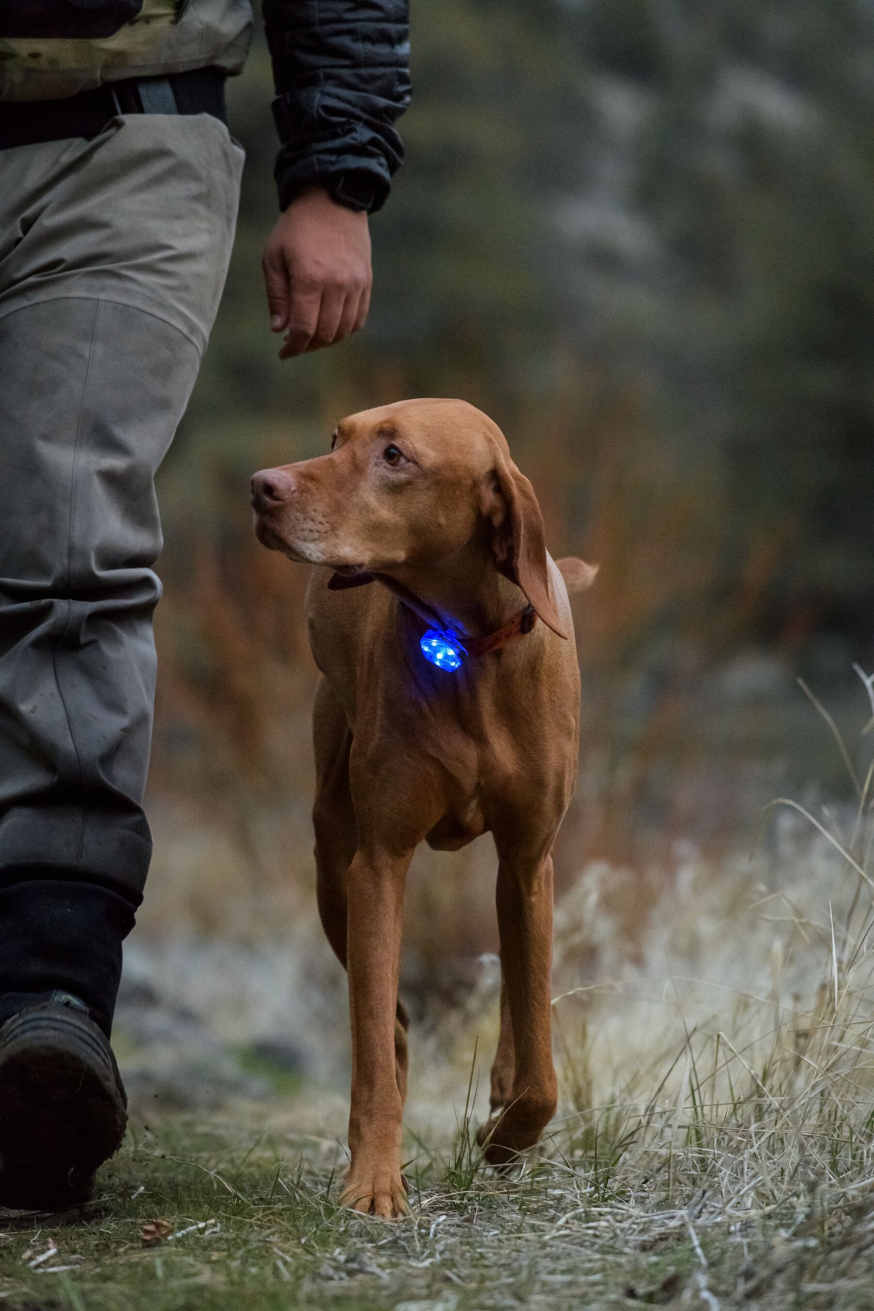 Ruffwear The Beacon Clear Lake one size Ruffwear The Beacon Clear Lake one size