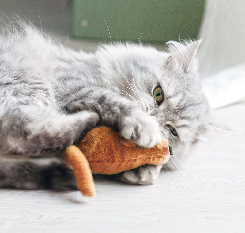Aumüller Minzi-Maus Katzenspielzeug gefüllt mit Katzenminze und Dinkelspelz