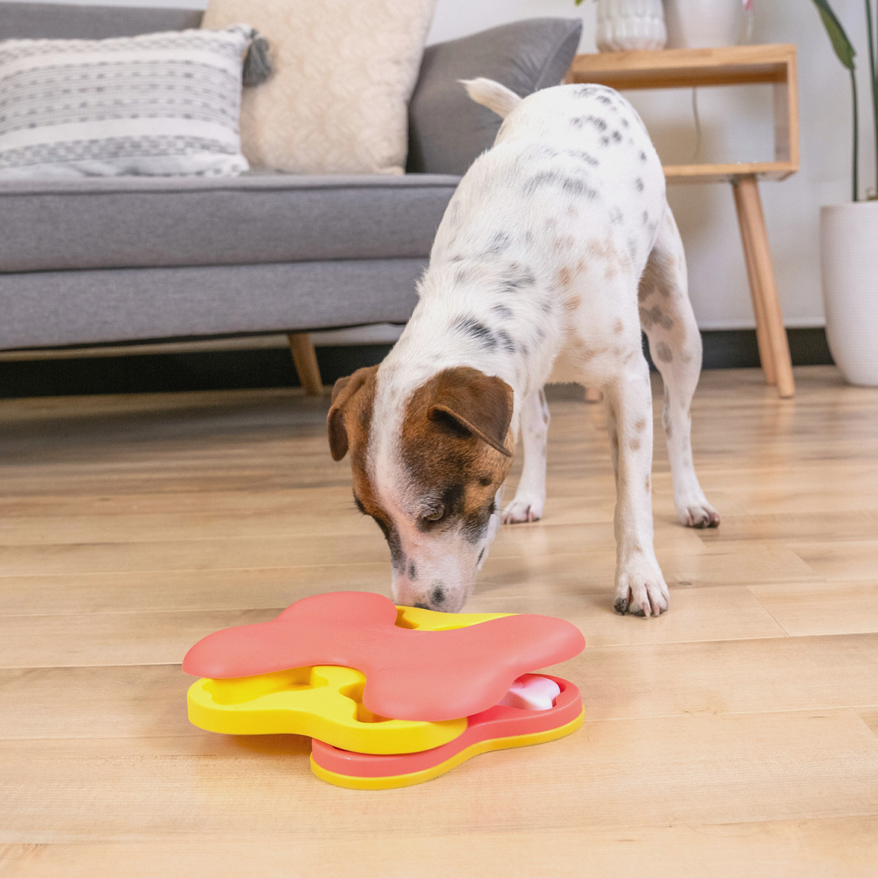 Nina Ottosson Level 2 Dog Tornado Small