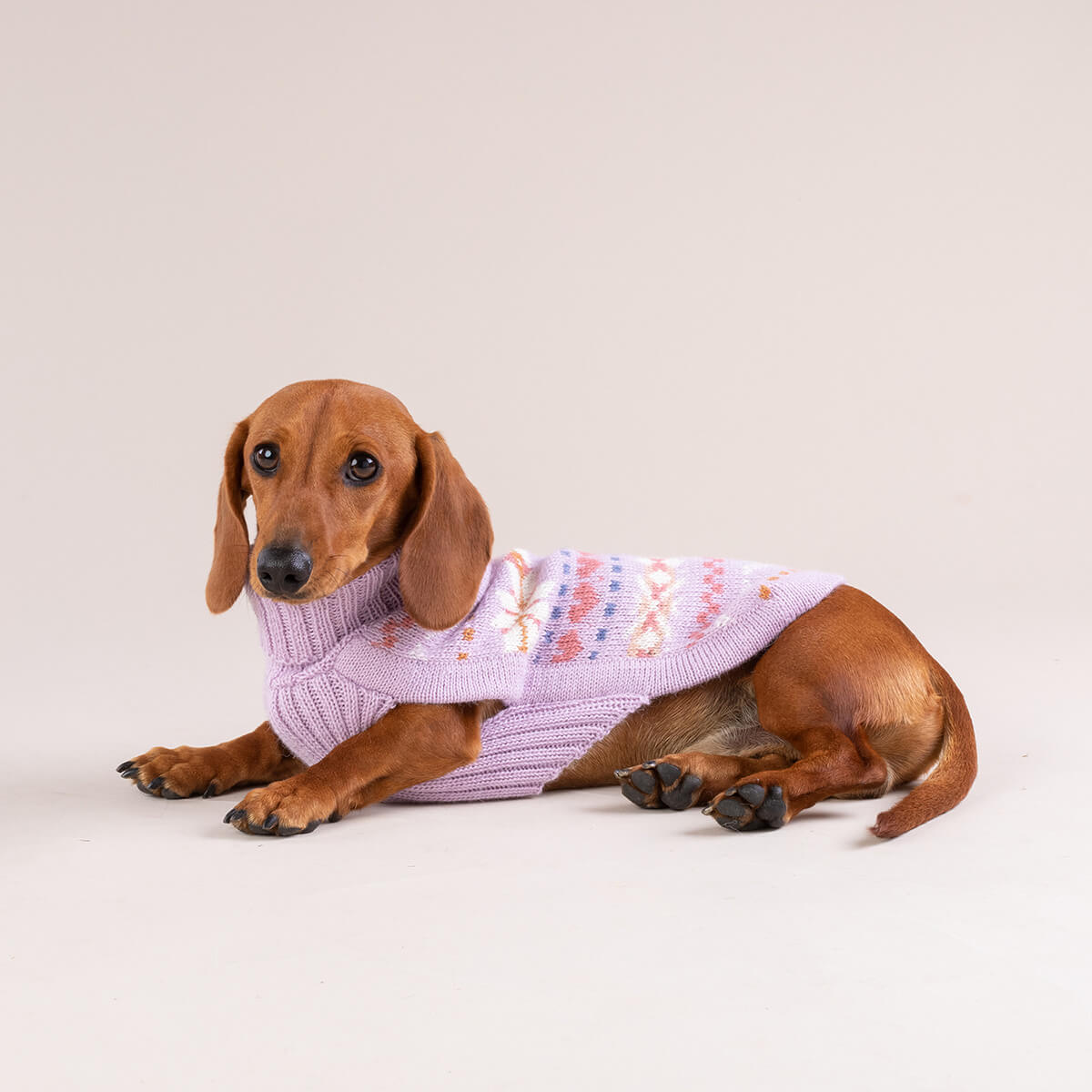 Alqo Wasi Hunde-Pullover Lavender Sunrise