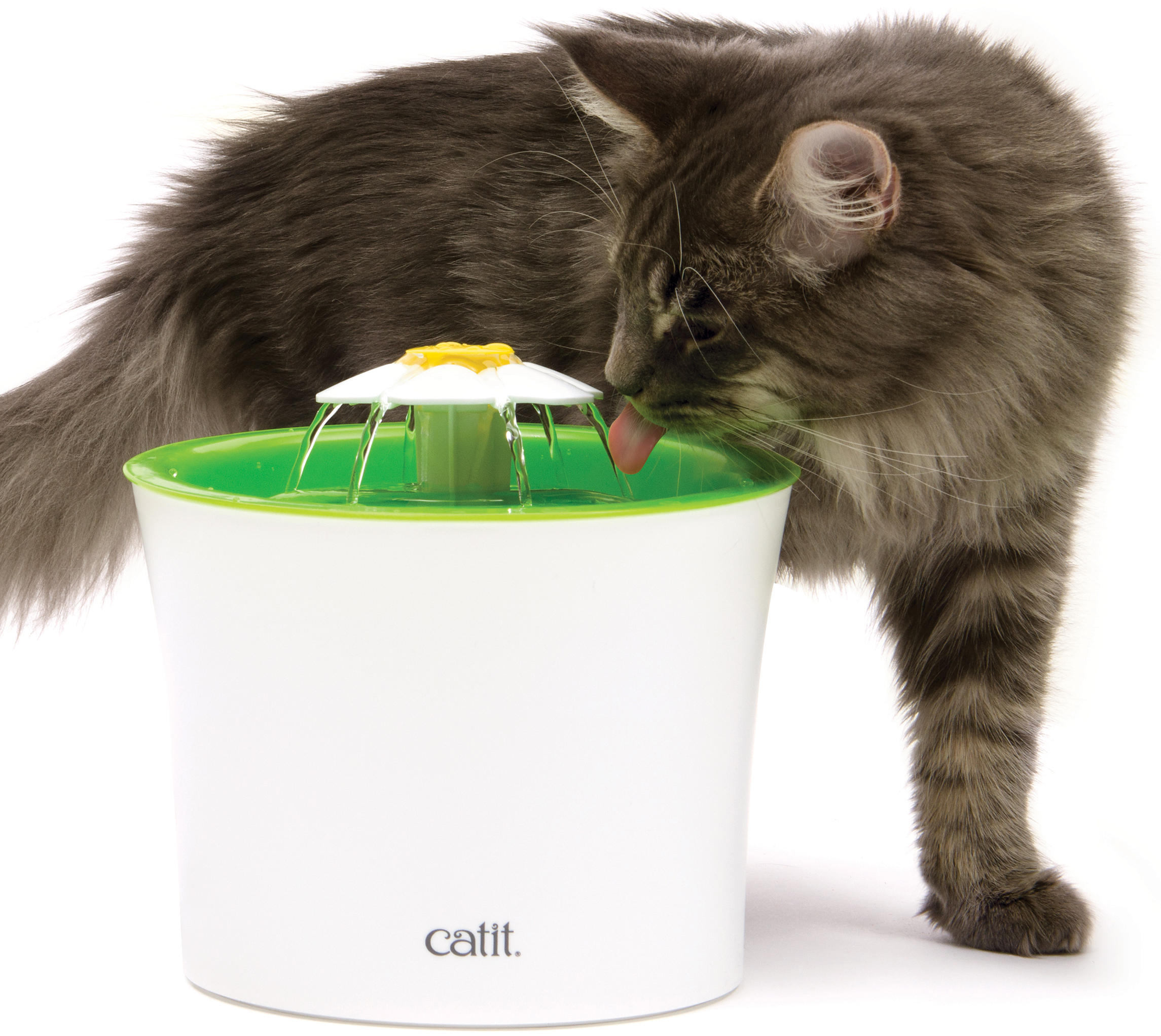 Hagen Catit Senses 2.0 Flower Fountain