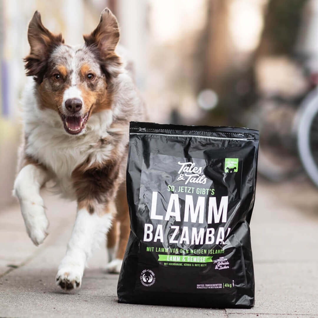 Tales&Tails LammBa Zamb