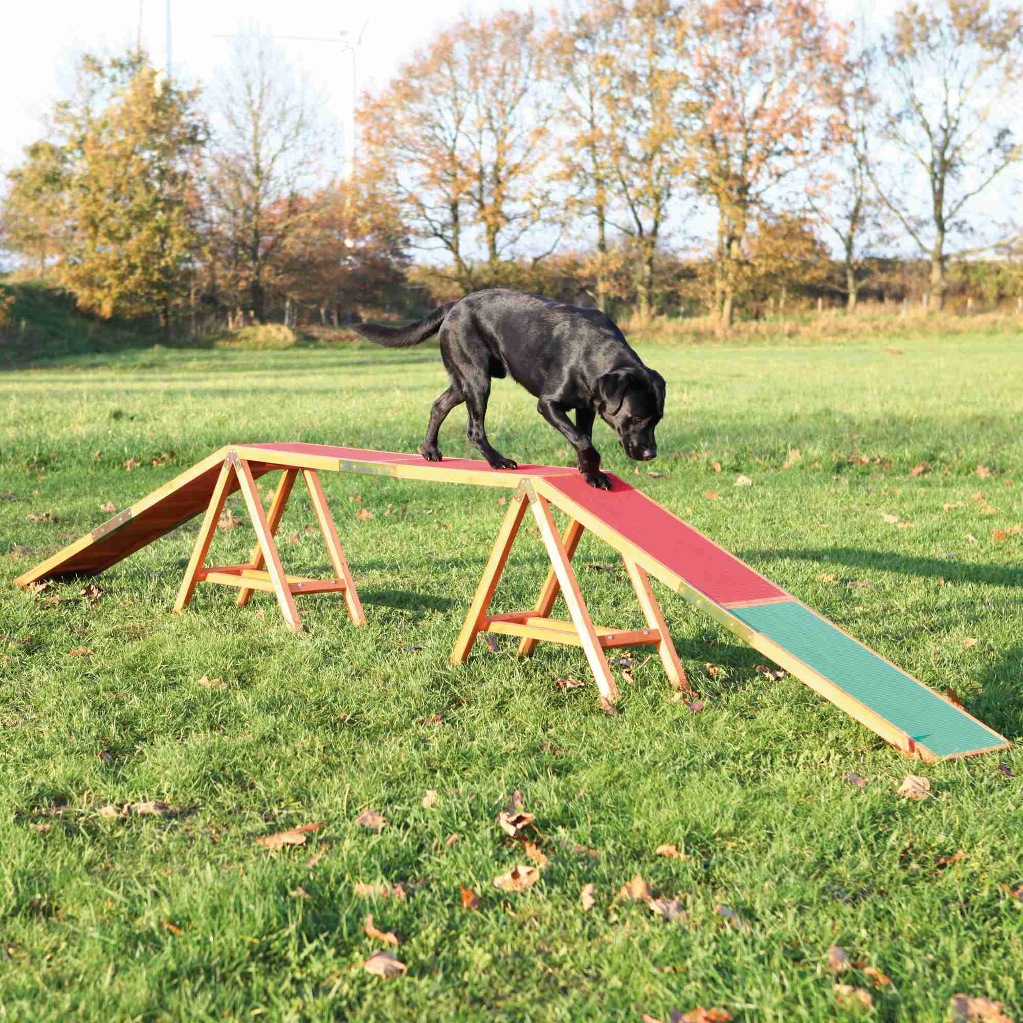 Trixie Dog Activity Agility Steg 456 × 64 × 30cm