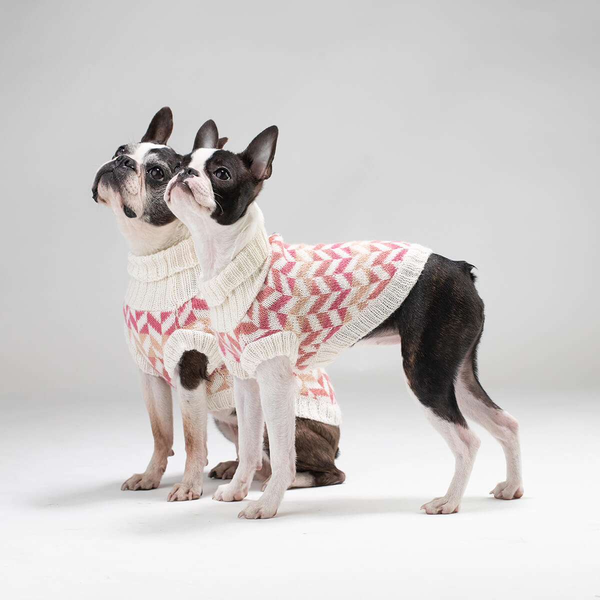 Alqo Wasi Hunde-Pullover Herringbone Pink