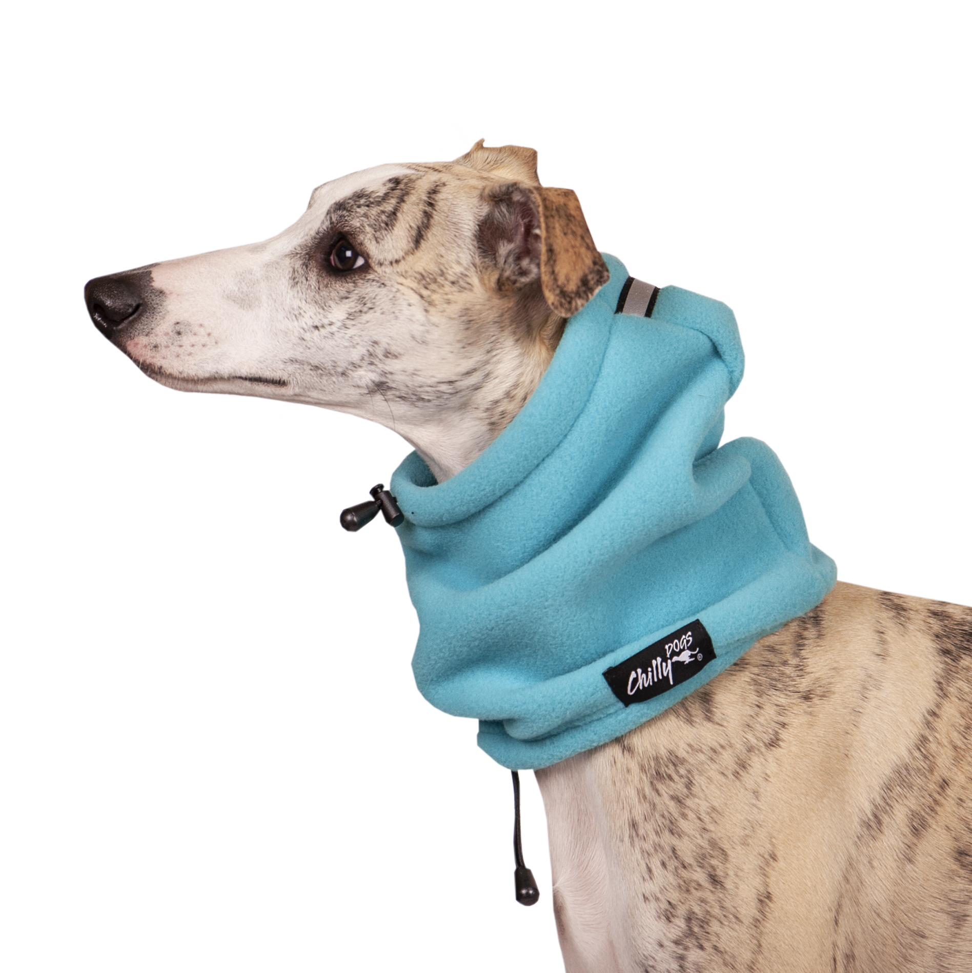 Chilly Dogs Head Muff STANDARD Gr. L, Arctic Blue