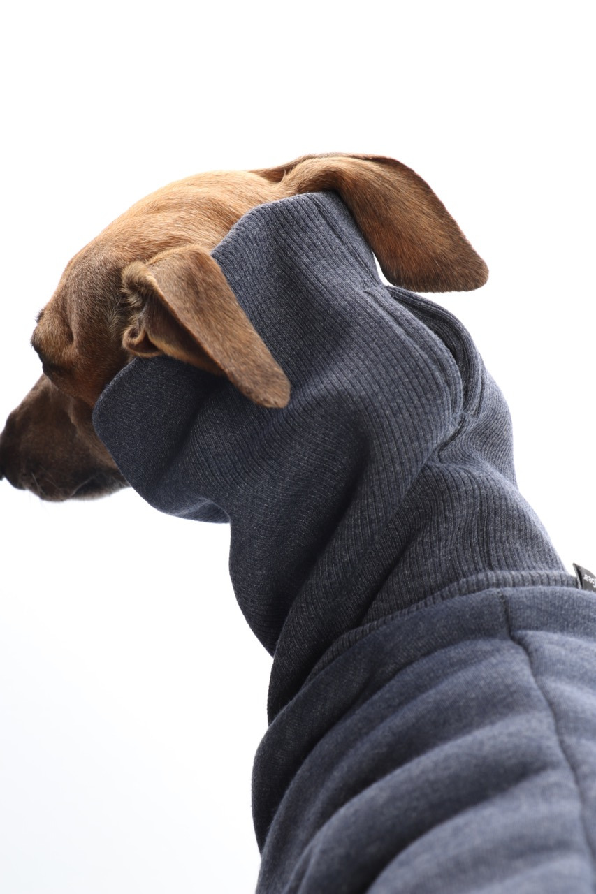 DG DogGear Basic Winter Sweatshirt - L1 - Schwarz