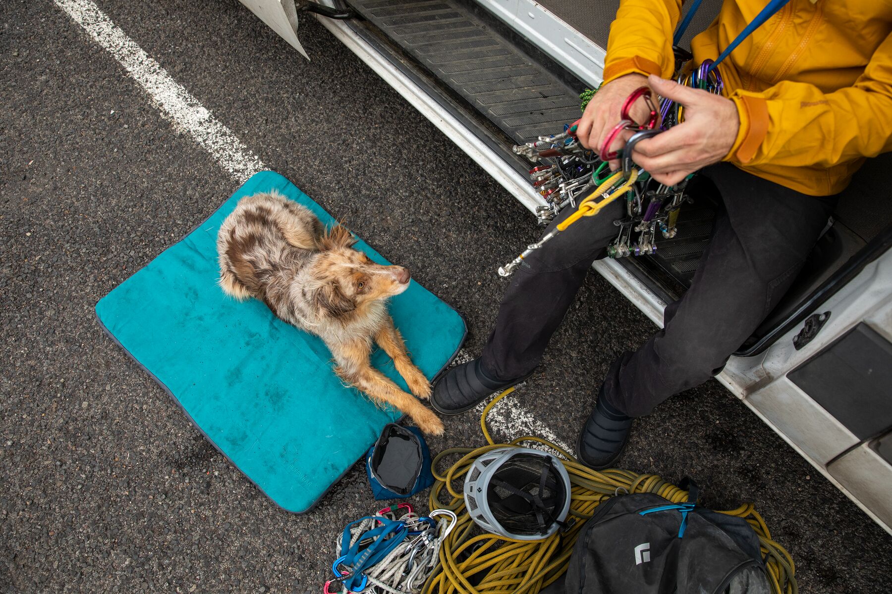 Ruffwear Mt. Bachelor Pad Tumalo Teal