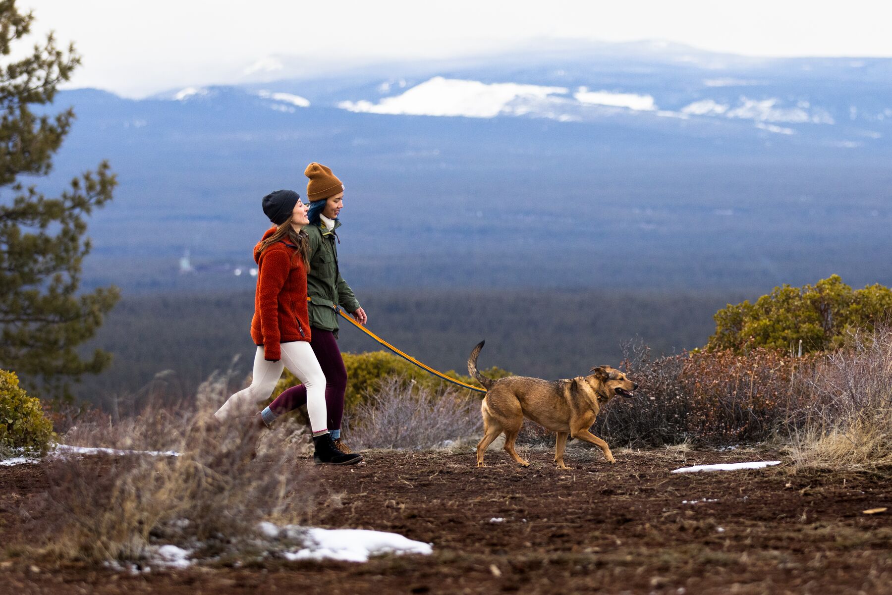 RuffWear Roamer™ Leash Yellow Snow