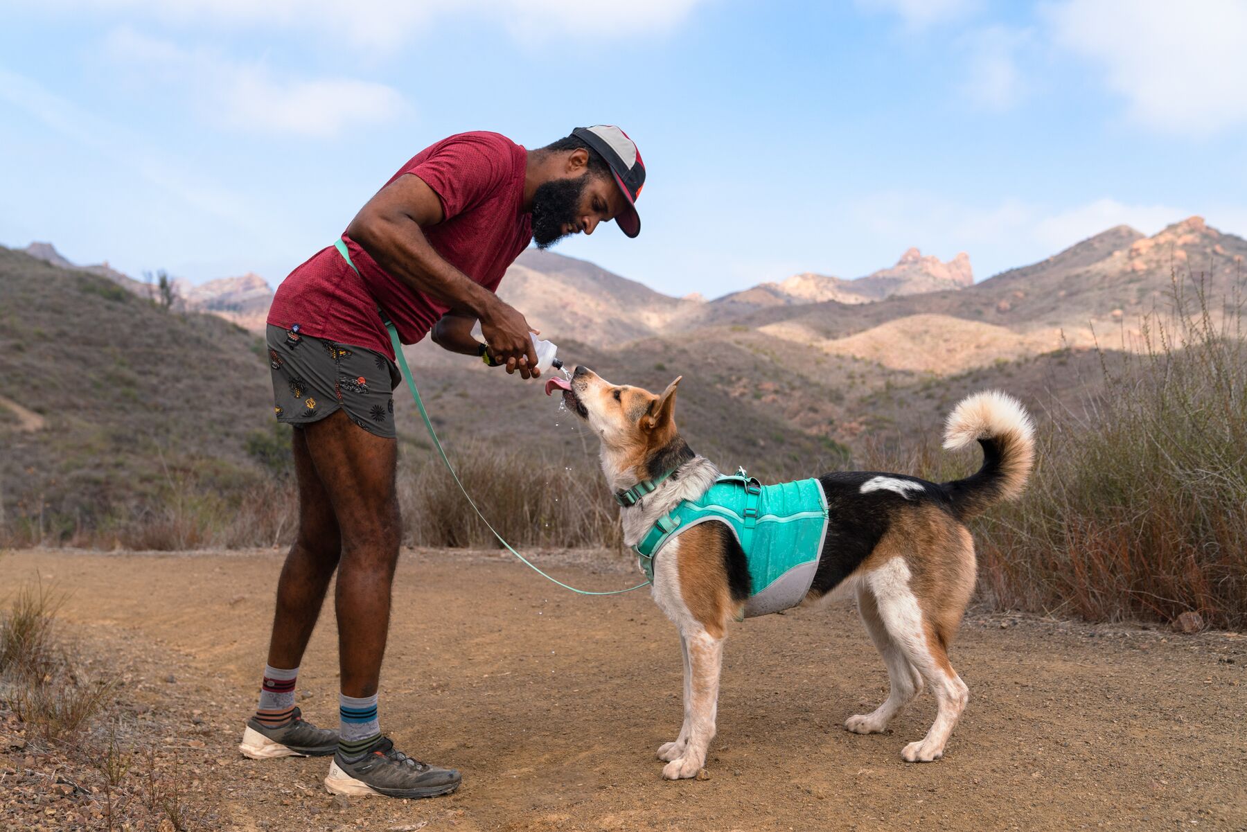 RuffWear Hi & Light™ Harness Sage Green