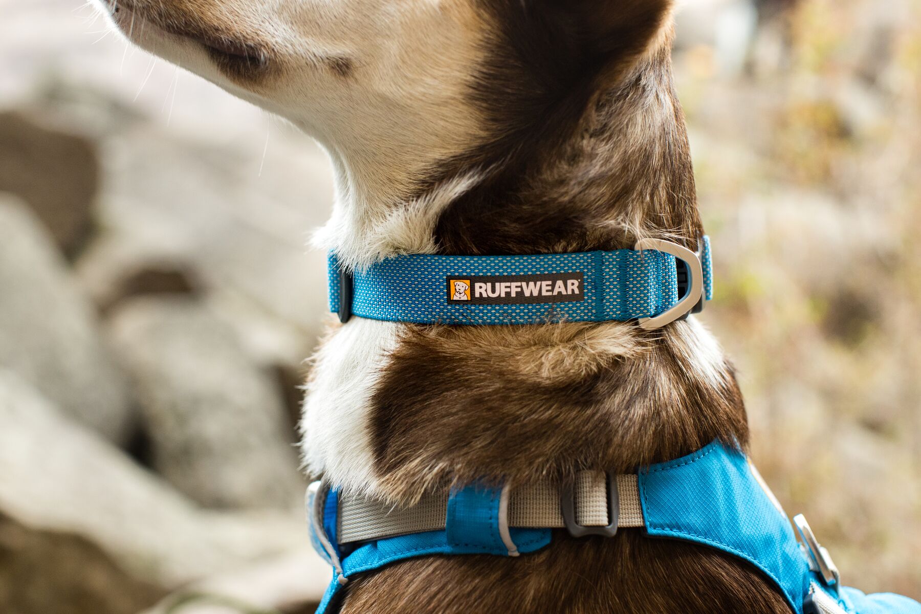 RuffWear Hi & Light™ Collar