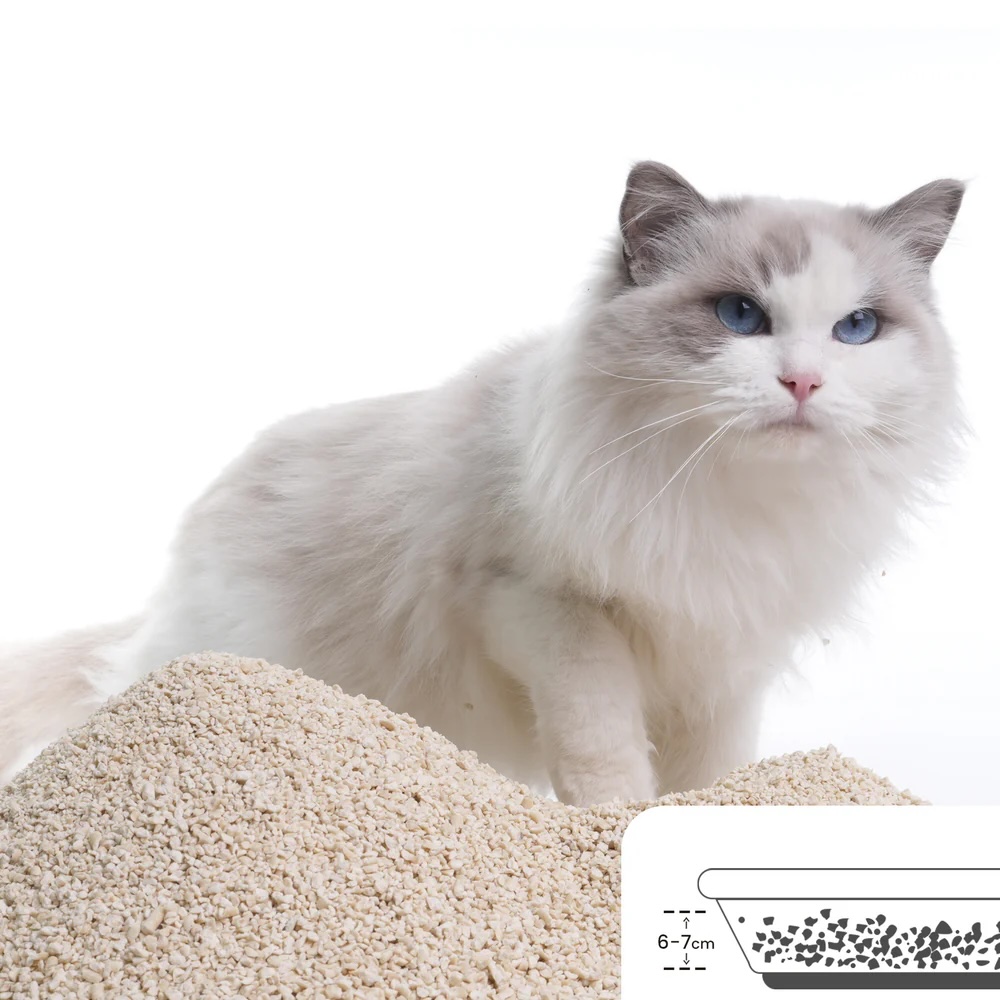 CatsPlan Katzenstreu Original 4,5kg