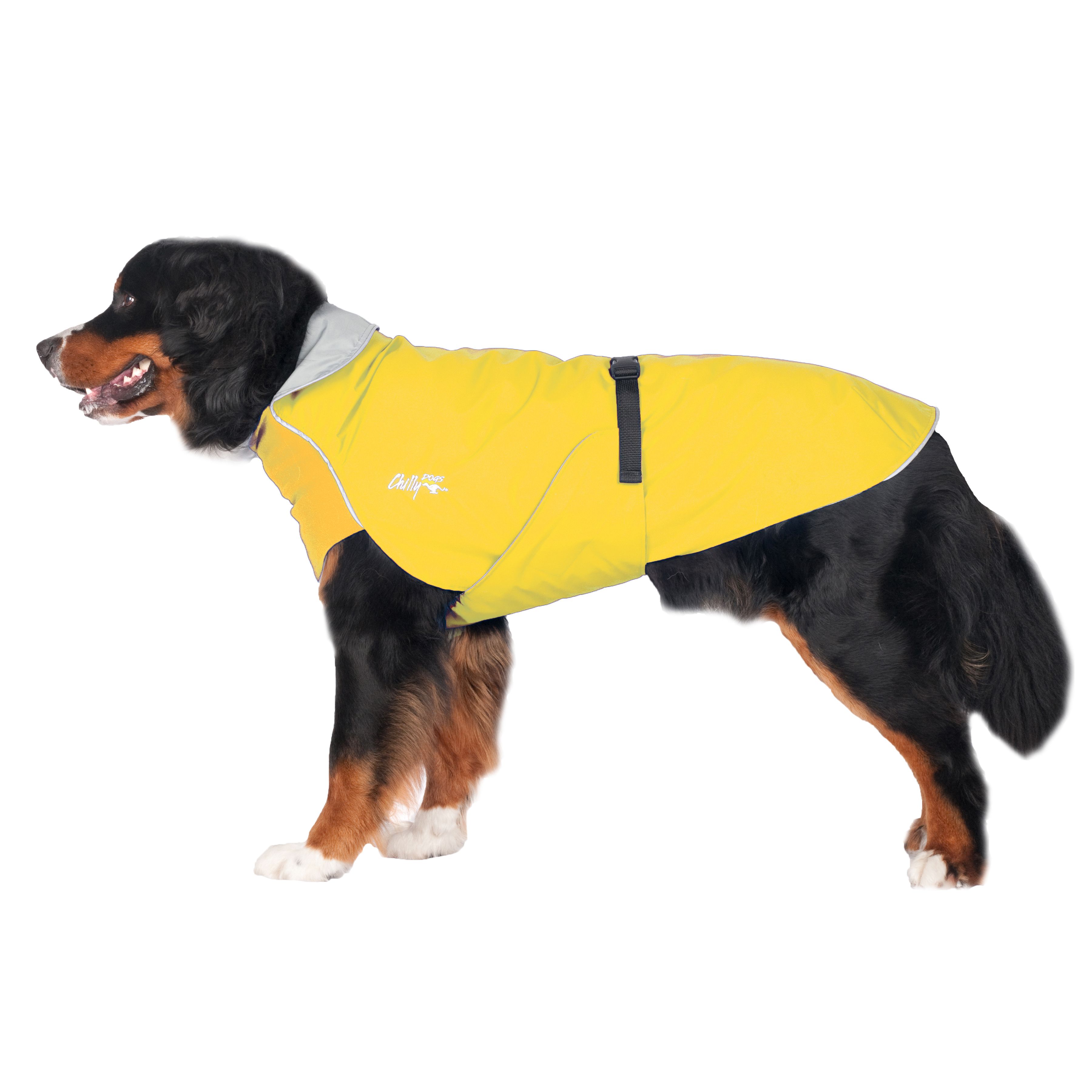 Chilly Dogs Harbour Slicker STANDARD
