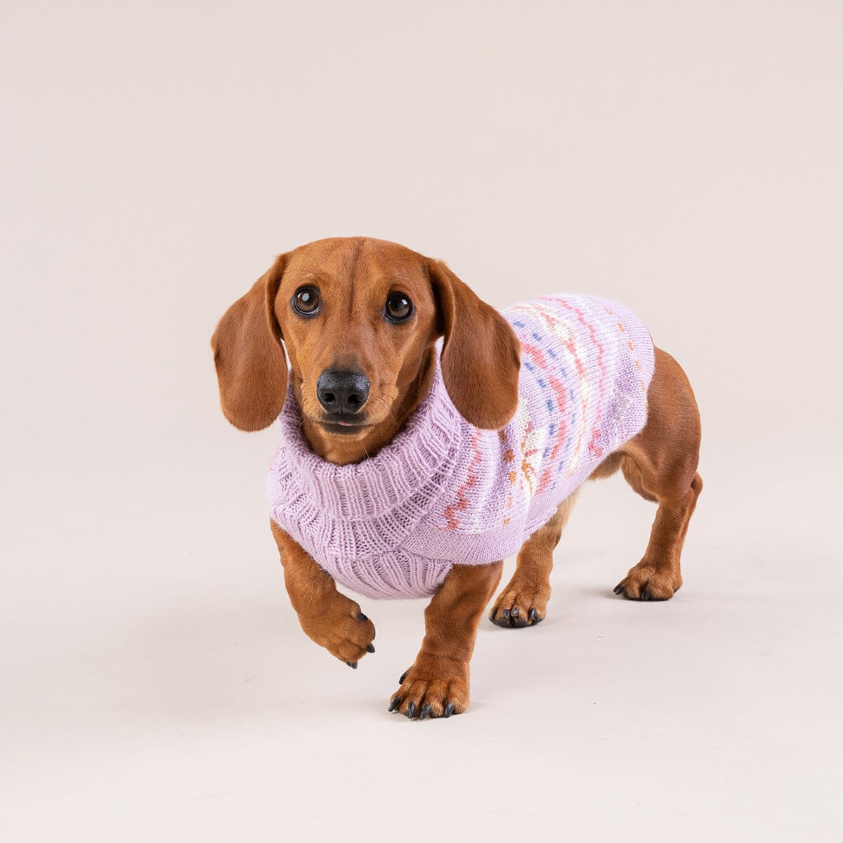 Alqo Wasi Hunde-Pullover Lavender Sunrise