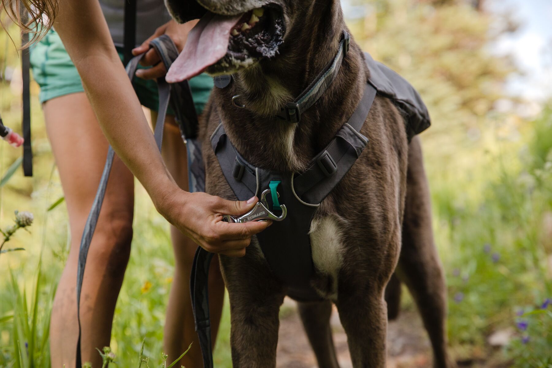 RuffWear Switchbak™ Harness Granite Grey