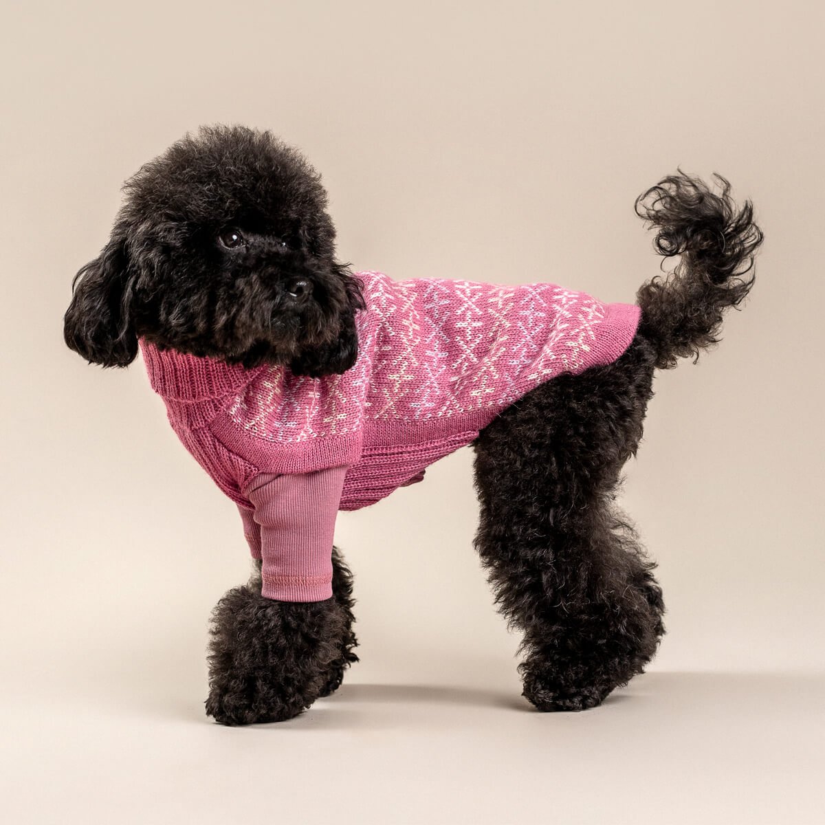Alqo Wasi Hunde-Pullover Signs Pink