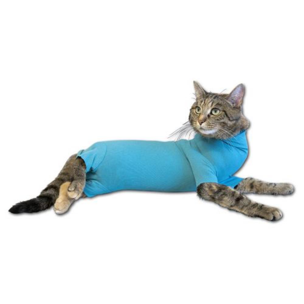 VetMedCare Cat Body