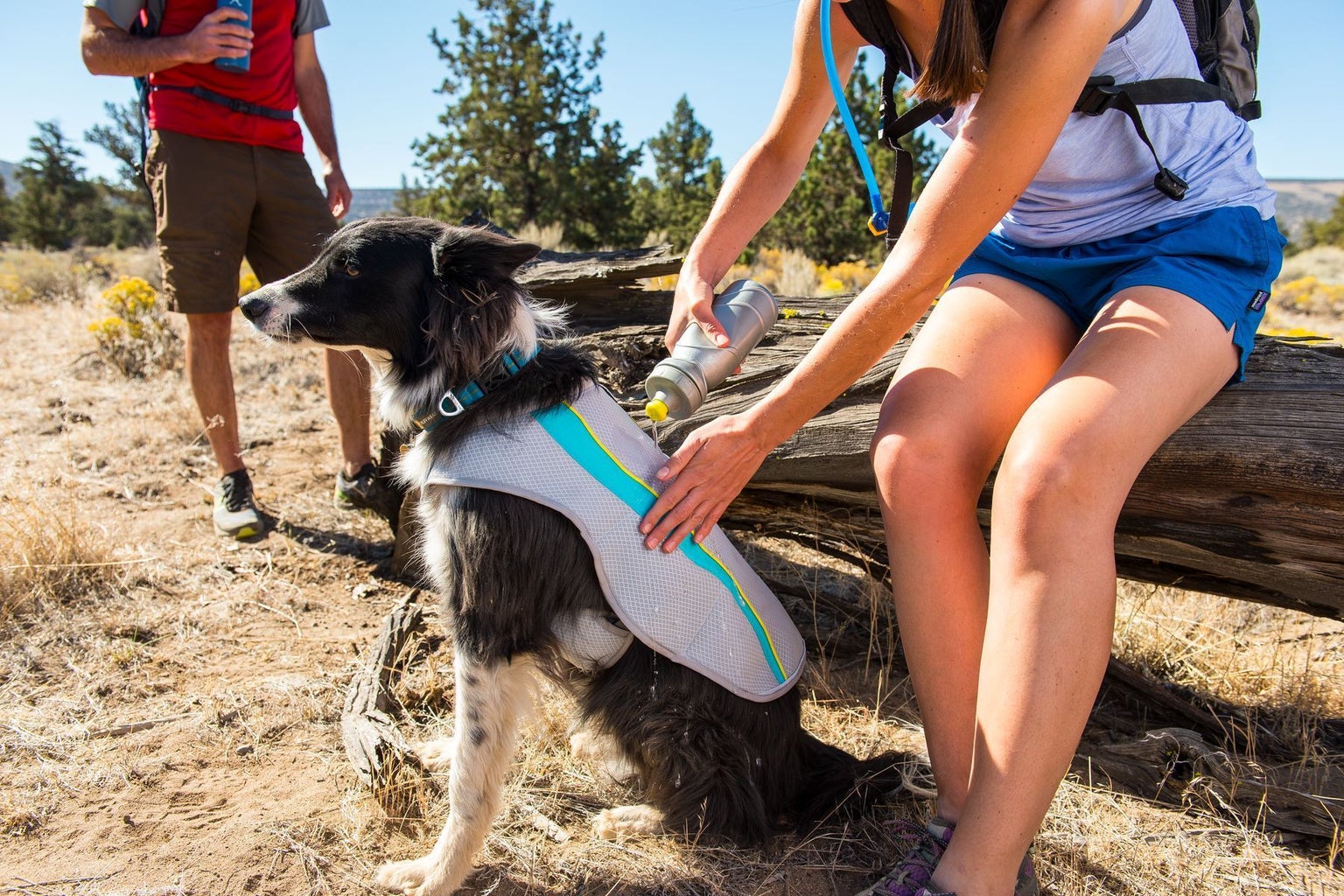 Ruffwear Swamp Cooler Cooling Vest Graphite Gray Ruffwear Swamp Cooler Cooling Vest Graphite Gray