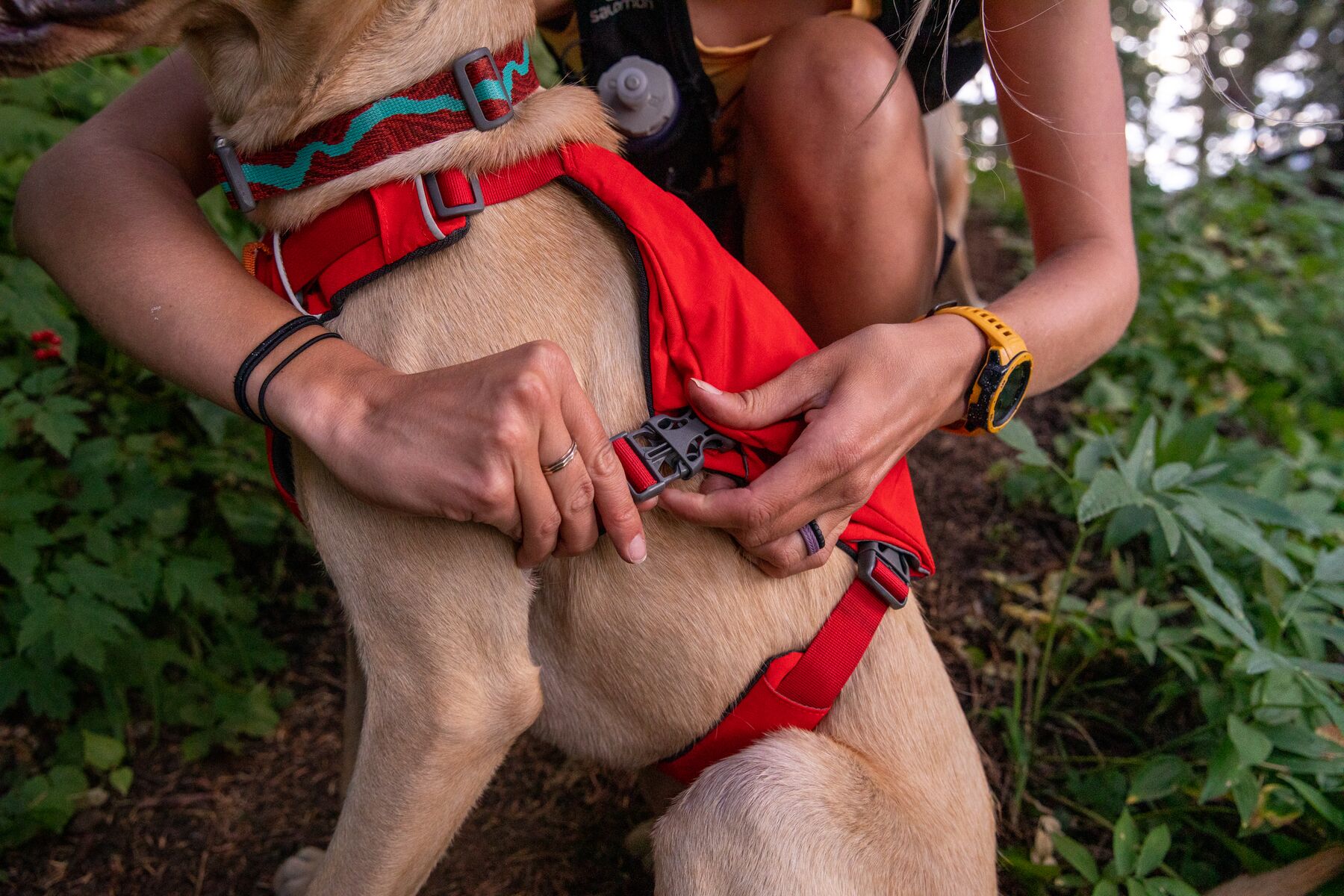 RuffWear Switchbak™ Harness Red Sumac