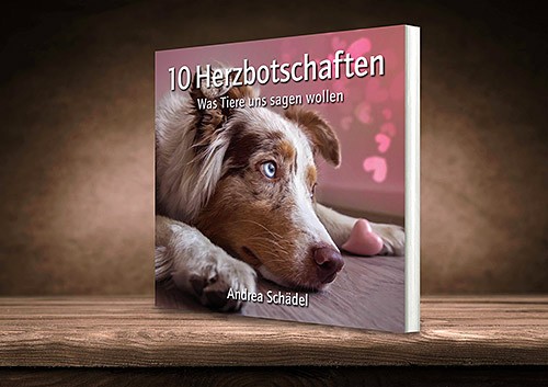 10 Herzbotschaften: Was Tiere uns sagen wollen [Andrea Schädel]