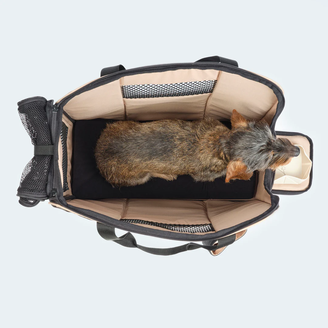Leopold's Finest Flugtasche für Dackel und kleine Hunde mit orthopädischer Matratze schwarz