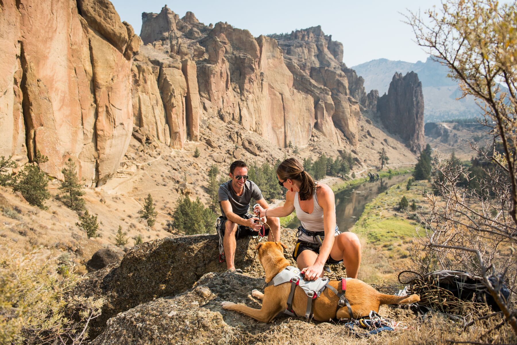 Ruffwear DoubleBack Harness Cloudburst Gray