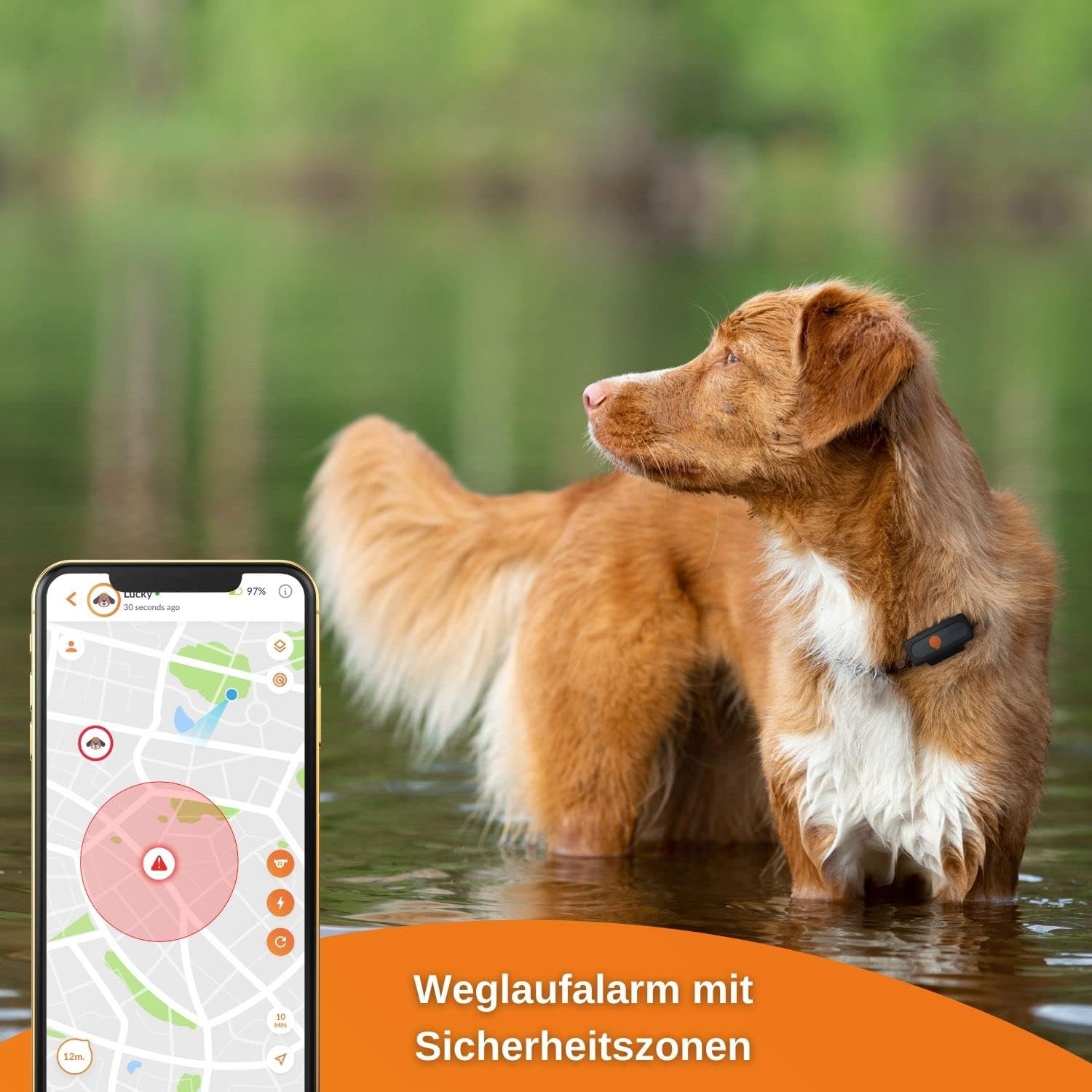 Weenect GPS-Tracker XS Dogs