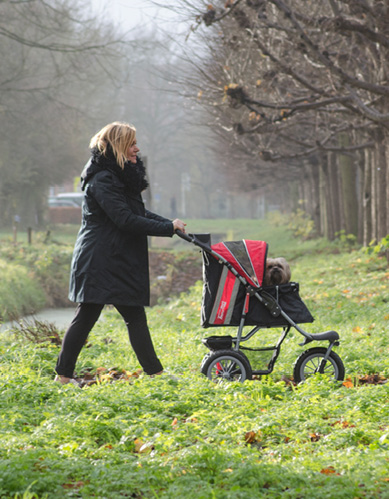 InnoPet Buggy Comfort EFA ECO schwarz/rot