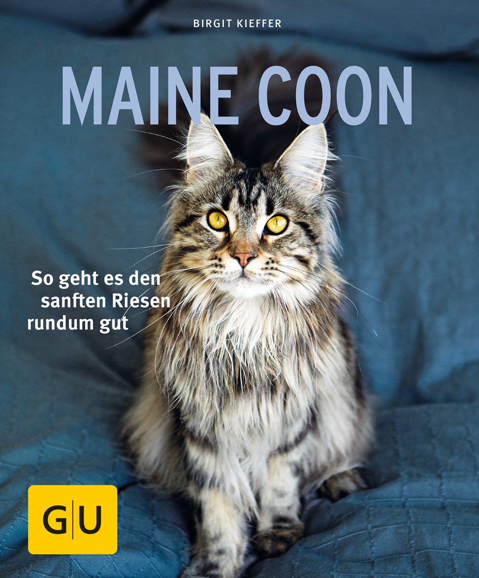 GU - Maine Coon [Birgit Kieffer]