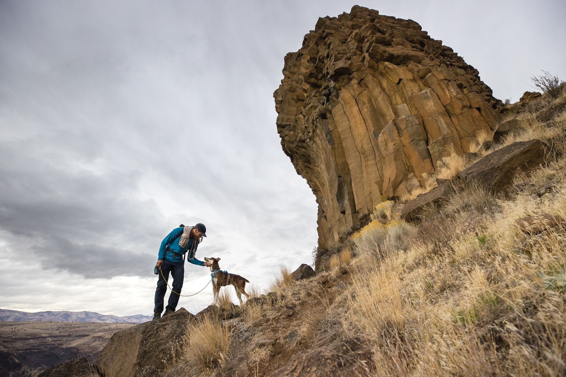 RuffWear Flagline™ Harness Blue Dusk