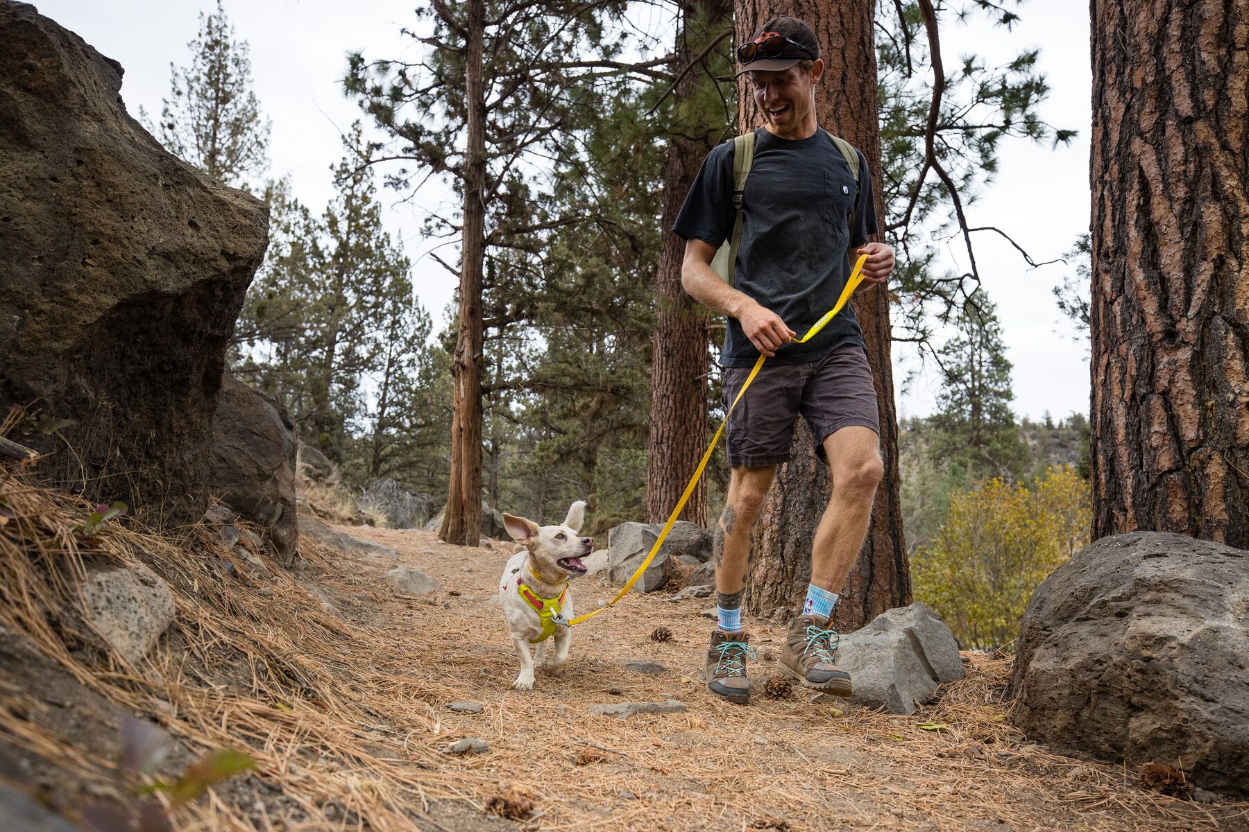 RuffWear Hi & Light™ Harness Lichen Green RuffWear Hi & Light™ Harness Lichen Green