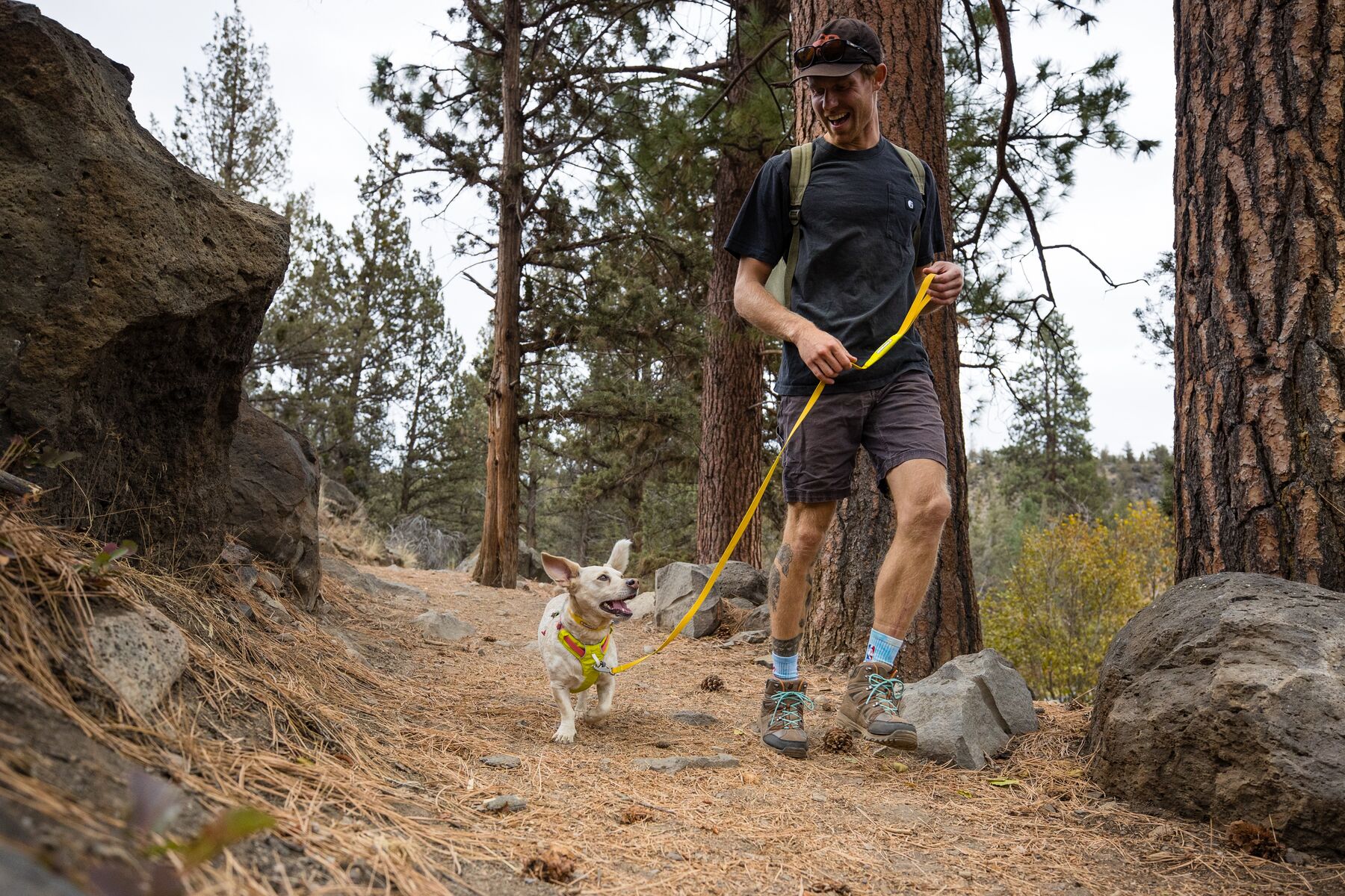 RuffWear Hi & Light™ Harness Lichen Green