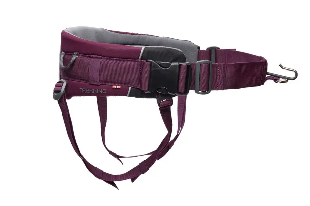 Non-stop dogwear Trekking Belt 2.0 purple S